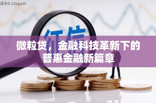 阜平微粒贷，金融科技革新下的普惠金融新篇章
