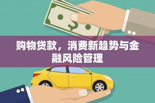 阜平购物贷款，消费新趋势与金融风险管理