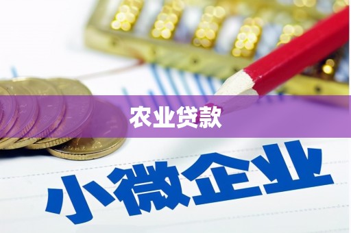 阜平农业贷款