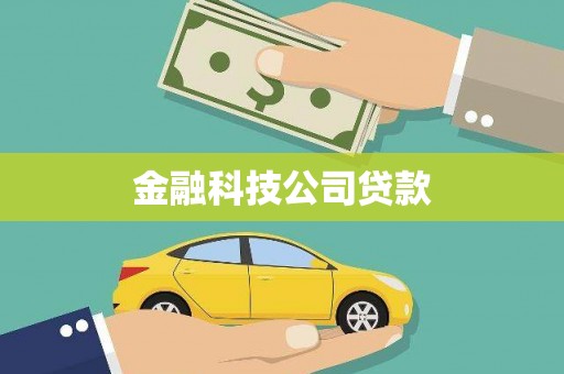阜平金融科技公司贷款