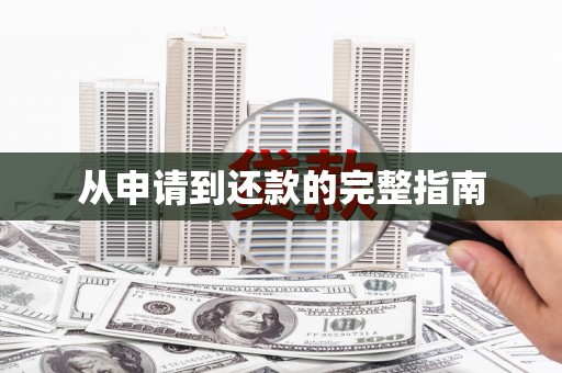 阜平从申请到还款的完整指南