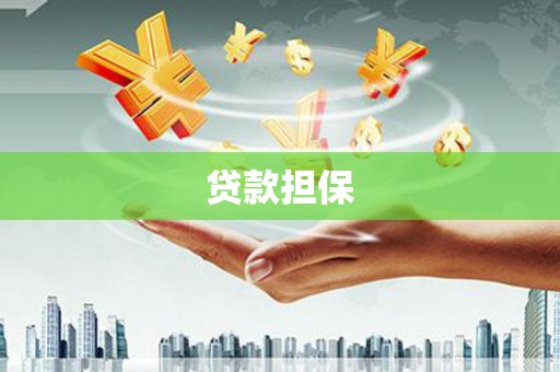 阜平贷款担保