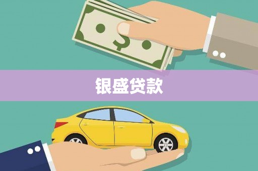 阜平银盛贷款