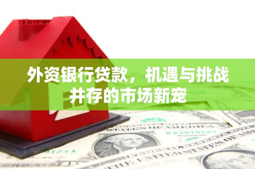 阜平外资银行贷款，机遇与挑战并存的市场新宠