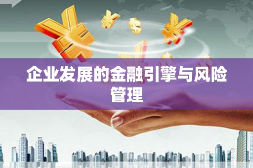 阜平企业发展的金融引擎与风险管理