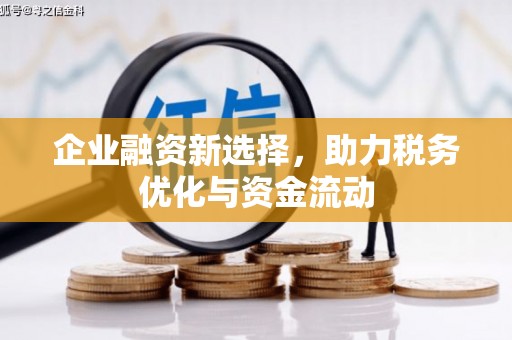 阜平企业融资新选择，助力税务优化与资金流动