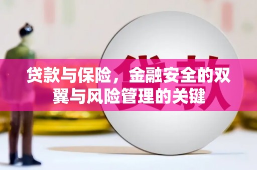 阜平贷款与保险，金融安全的双翼与风险管理的关键