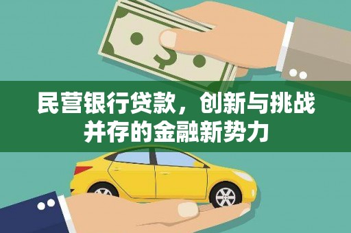 阜平民营银行贷款，创新与挑战并存的金融新势力