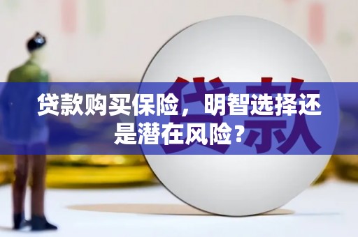 阜平贷款购买保险，明智选择还是潜在风险？