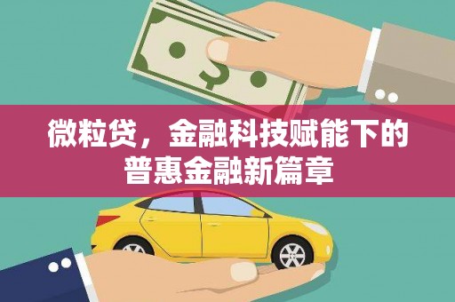 阜平微粒贷，金融科技赋能下的普惠金融新篇章