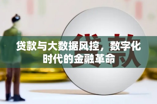 阜平贷款与大数据风控，数字化时代的金融革命