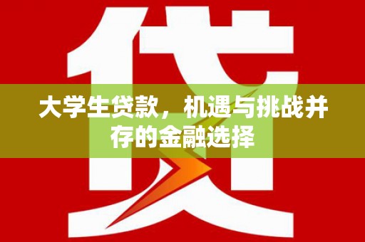 阜平大学生贷款，机遇与挑战并存的金融选择
