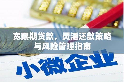 阜平宽限期贷款，灵活还款策略与风险管理指南