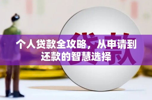 阜平个人贷款全攻略，从申请到还款的智慧选择