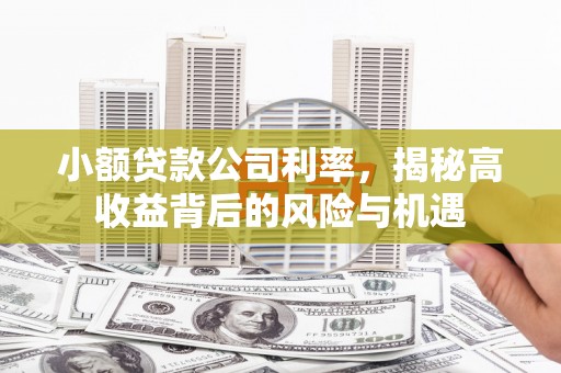 阜平小额贷款公司利率，揭秘高收益背后的风险与机遇