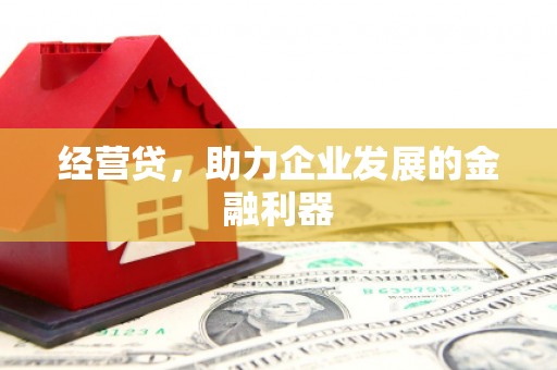 阜平经营贷，助力企业发展的金融利器