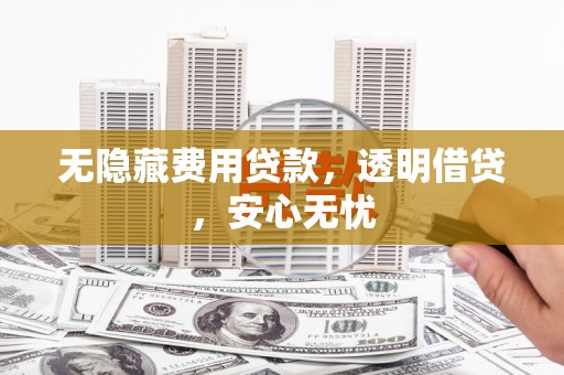 阜平无隐藏费用贷款，透明借贷，安心无忧