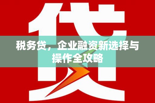 阜平税务贷，企业融资新选择与操作全攻略