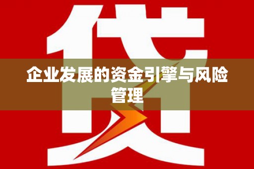 阜平企业发展的资金引擎与风险管理