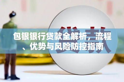 阜平包银银行贷款全解析，流程、优势与风险防控指南