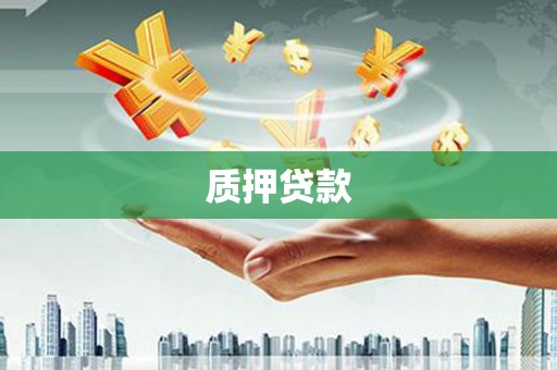 阜平质押贷款