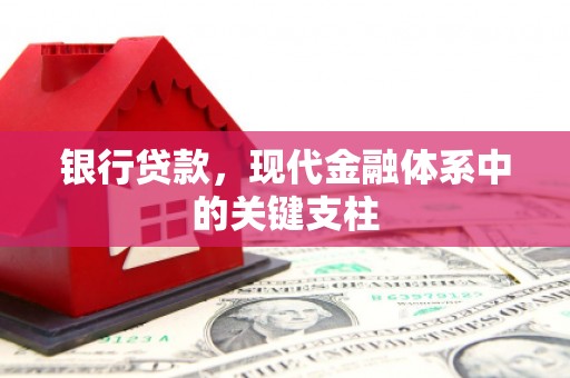 阜平银行贷款，现代金融体系中的关键支柱