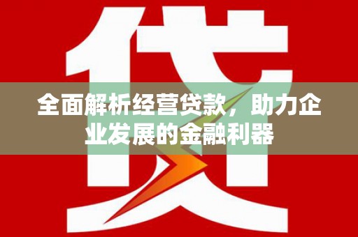 阜平全面解析经营贷款，助力企业发展的金融利器