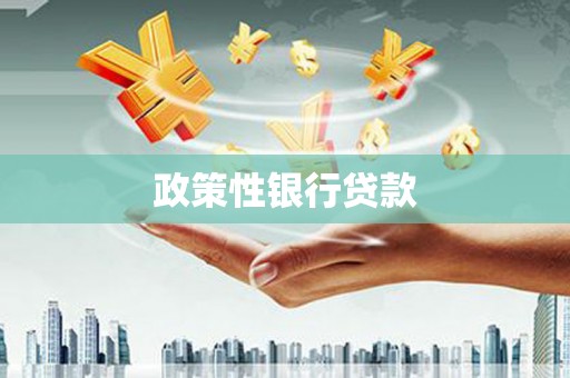阜平政策性银行贷款