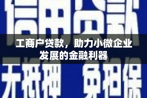 阜平工商户贷款，助力小微企业发展的金融利器
