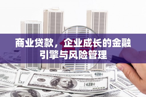 阜平商业贷款，企业成长的金融引擎与风险管理