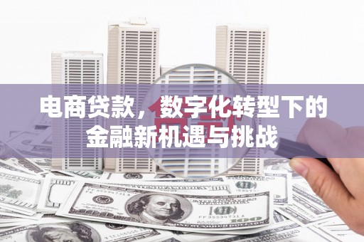 阜平电商贷款，数字化转型下的金融新机遇与挑战