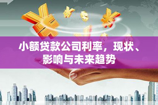 阜平小额贷款公司利率，现状、影响与未来趋势