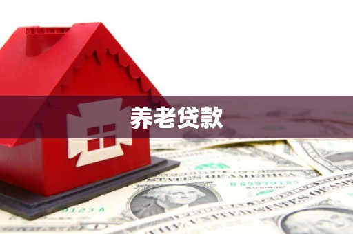 阜平养老贷款