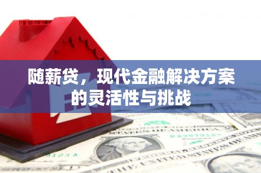 阜平随薪贷，现代金融解决方案的灵活性与挑战