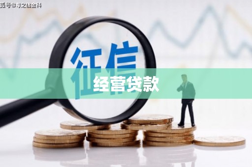 阜平经营贷款