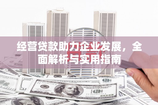 阜平经营贷款助力企业发展，全面解析与实用指南