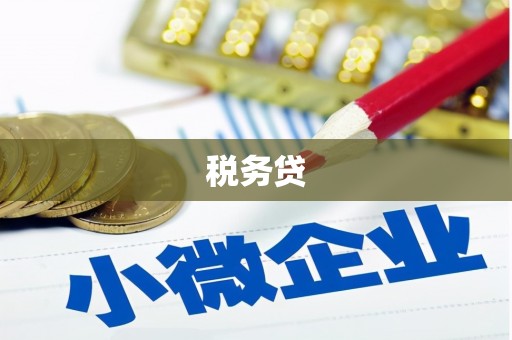 阜平税务贷