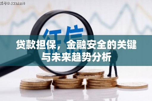 阜平贷款担保，金融安全的关键与未来趋势分析