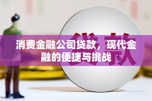 阜平消费金融公司贷款，现代金融的便捷与挑战