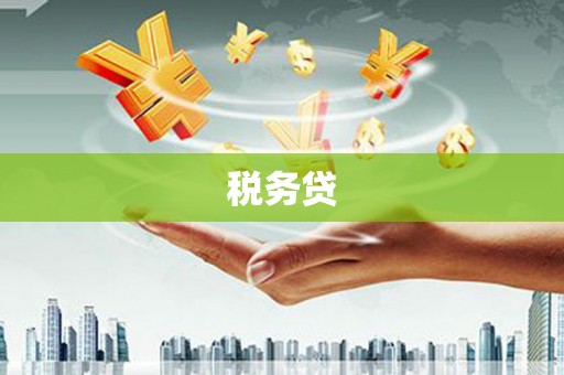 阜平税务贷
