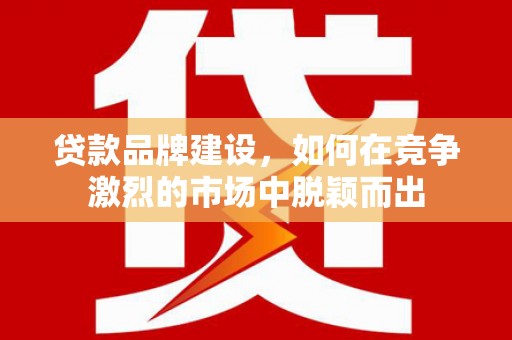 阜平贷款品牌建设，如何在竞争激烈的市场中脱颖而出