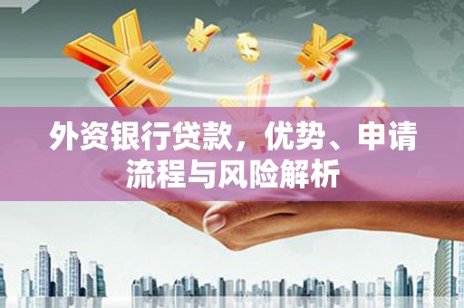 阜平外资银行贷款，优势、申请流程与风险解析