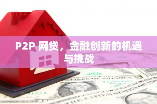 阜平P2P 网贷，金融创新的机遇与挑战