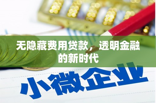 阜平无隐藏费用贷款，透明金融的新时代