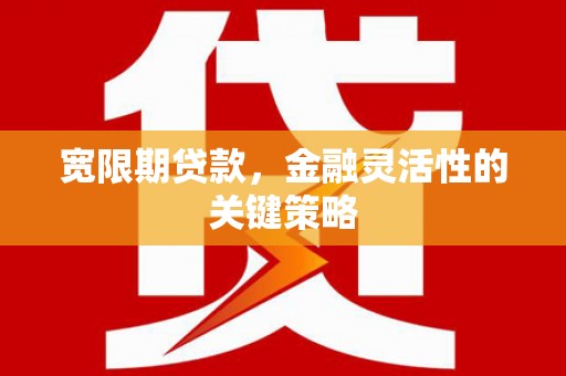 阜平宽限期贷款，金融灵活性的关键策略