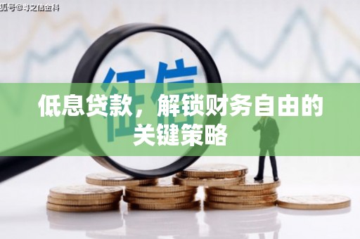 阜平低息贷款，解锁财务自由的关键策略
