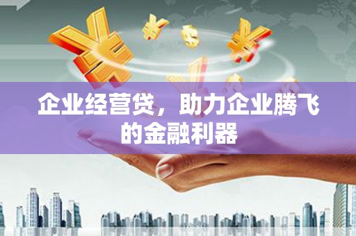 阜平企业经营贷，助力企业腾飞的金融利器