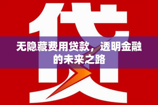 阜平无隐藏费用贷款，透明金融的未来之路