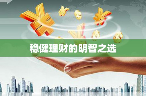 阜平稳健理财的明智之选