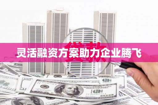 阜平灵活融资方案助力企业腾飞